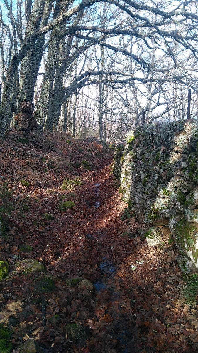 Fotos: Ruta al Pico del Águila en Béjar