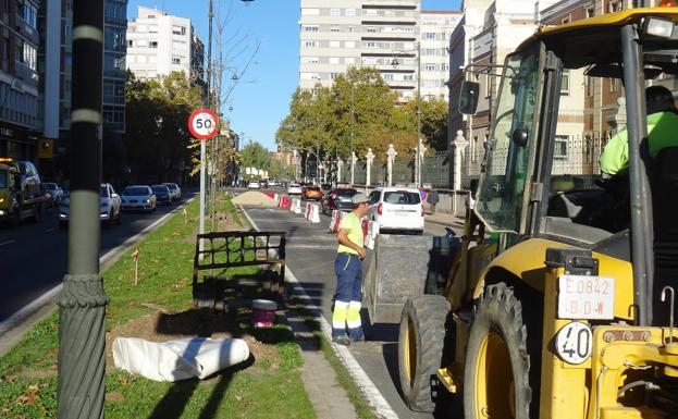 Trabajos en la mediana del paseo del Hospital Militar. 