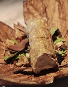 Imagen secundaria 2 - Arriba, tapa 