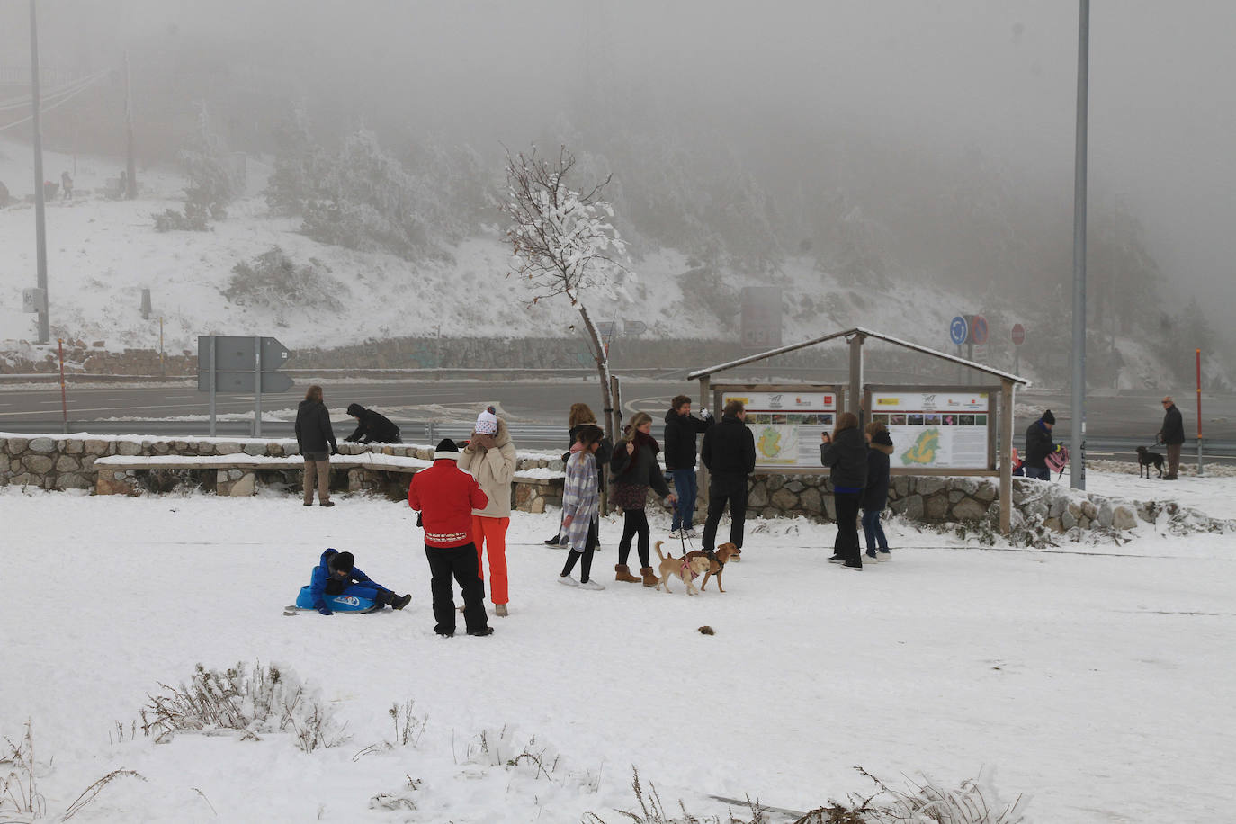 Turistas se hacen fotos en Navacerrada este sábado con las primera nevada. 