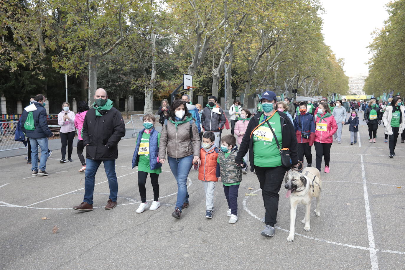 Fotos: Marcha contra el Cáncer en Valladolid (5)