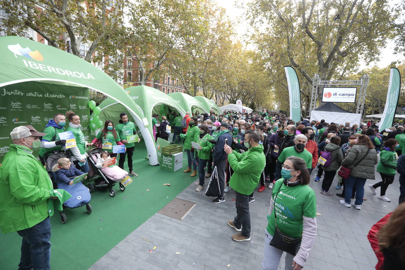 Fotos: Marcha contra el Cáncer en Valladolid (5)