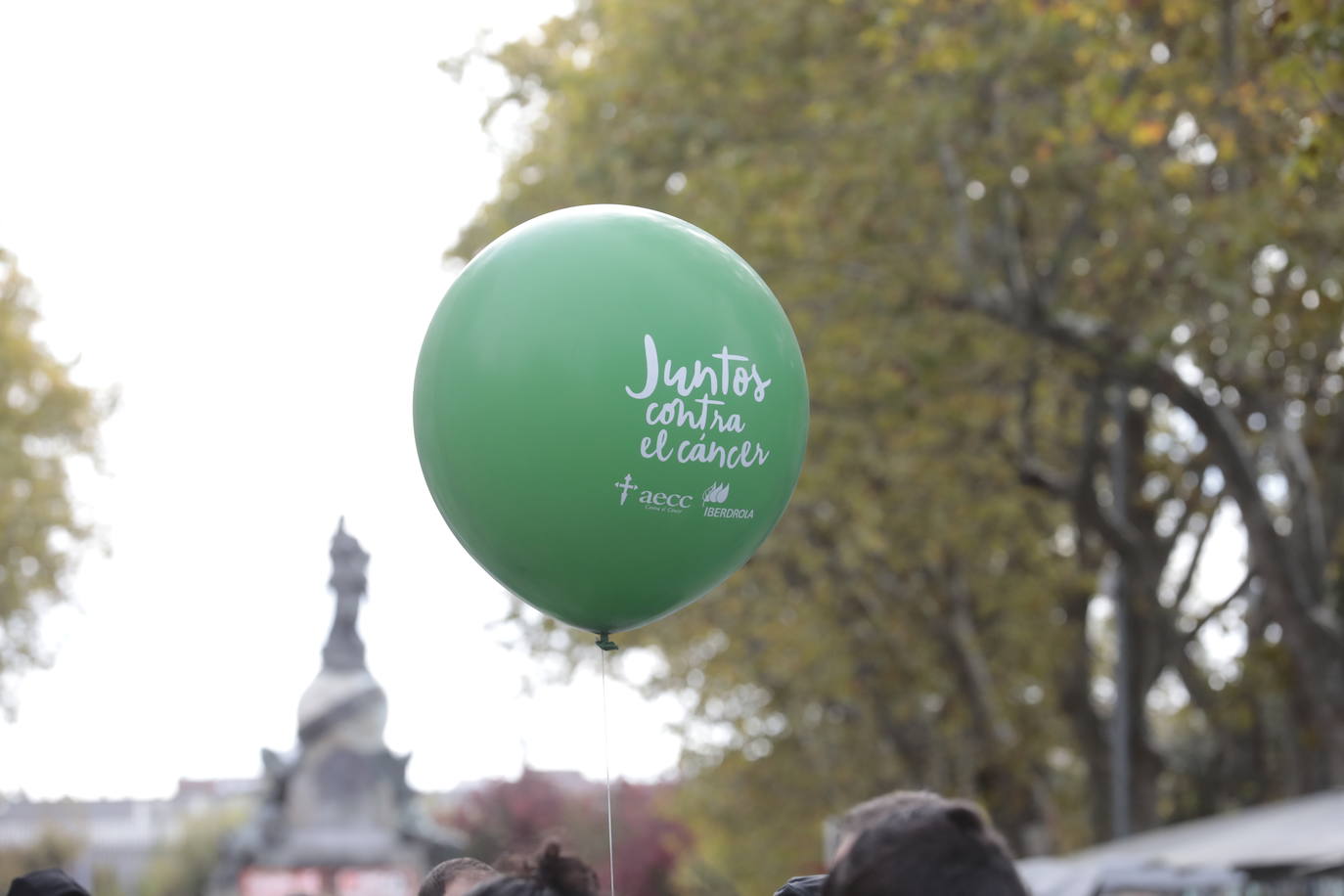 Fotos: Marcha contra el Cáncer en Valladolid (6)