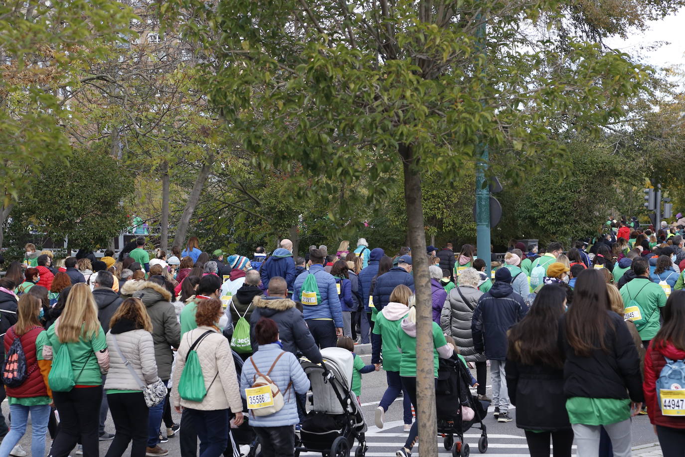 Fotos: Marcha contra el Cáncer en Valladolid (7)