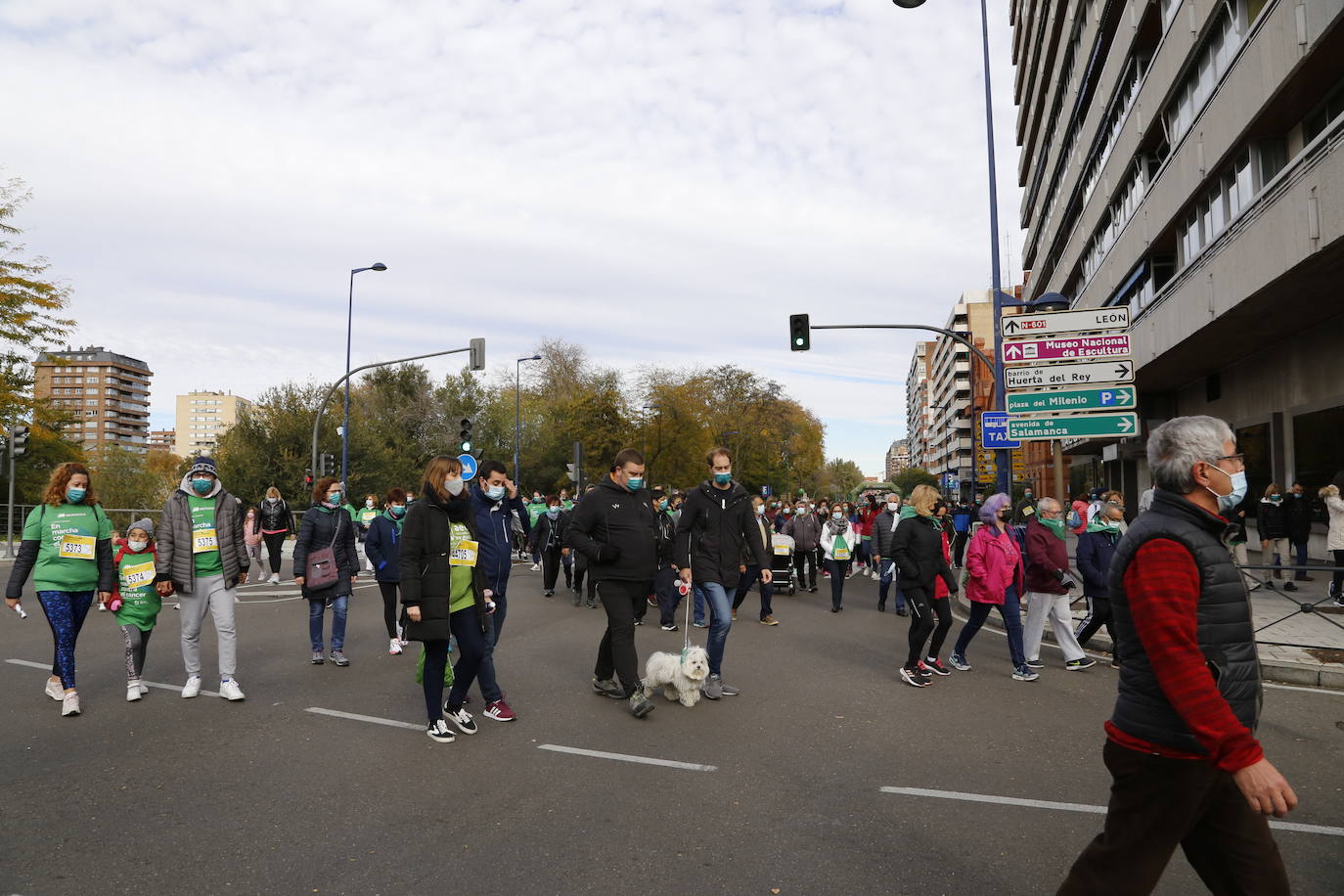 Fotos: Marcha contra el Cáncer en Valladolid (8)