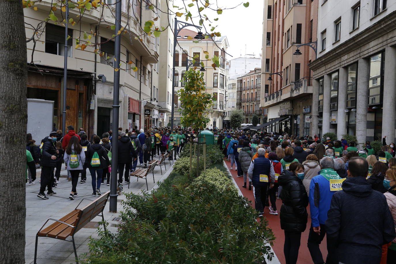 Fotos: Marcha contra el Cáncer en Valladolid (8)