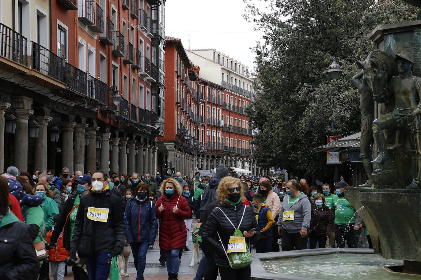 Fotos: Marcha contra el Cáncer en Valladolid (9)