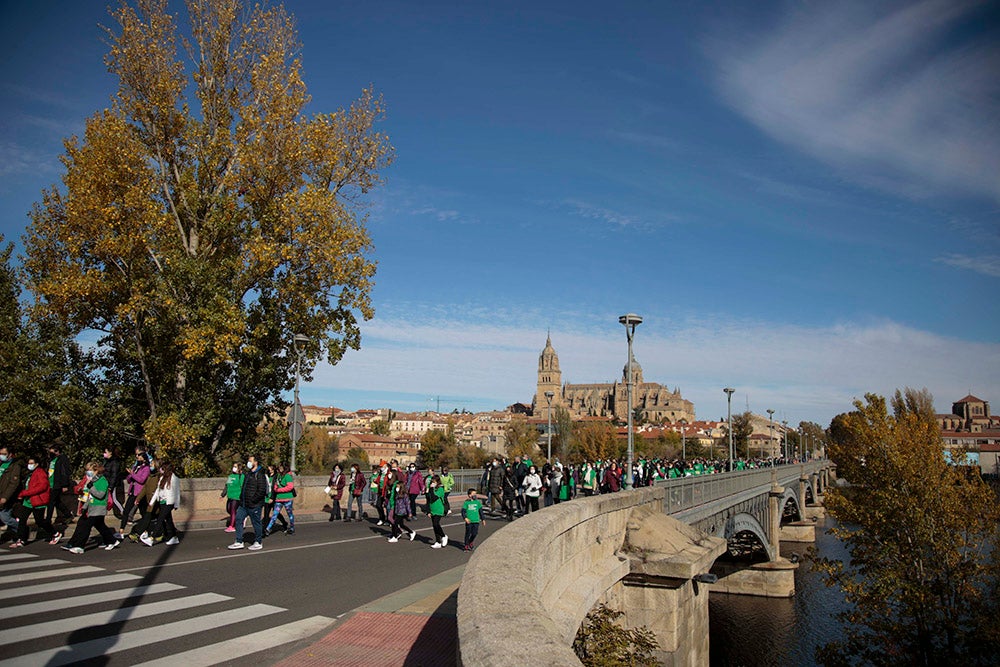 Miles de personas partieron desde el parque Elio Antonio de Nebrija en el regreso de la Marcha Salamanca Contra el Cáncer