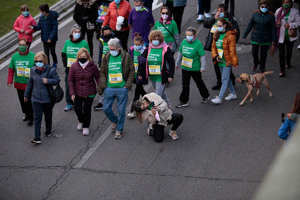 Miles de personas partieron desde el parque Elio Antonio de Nebrija en el regreso de la Marcha Salamanca Contra el Cáncer