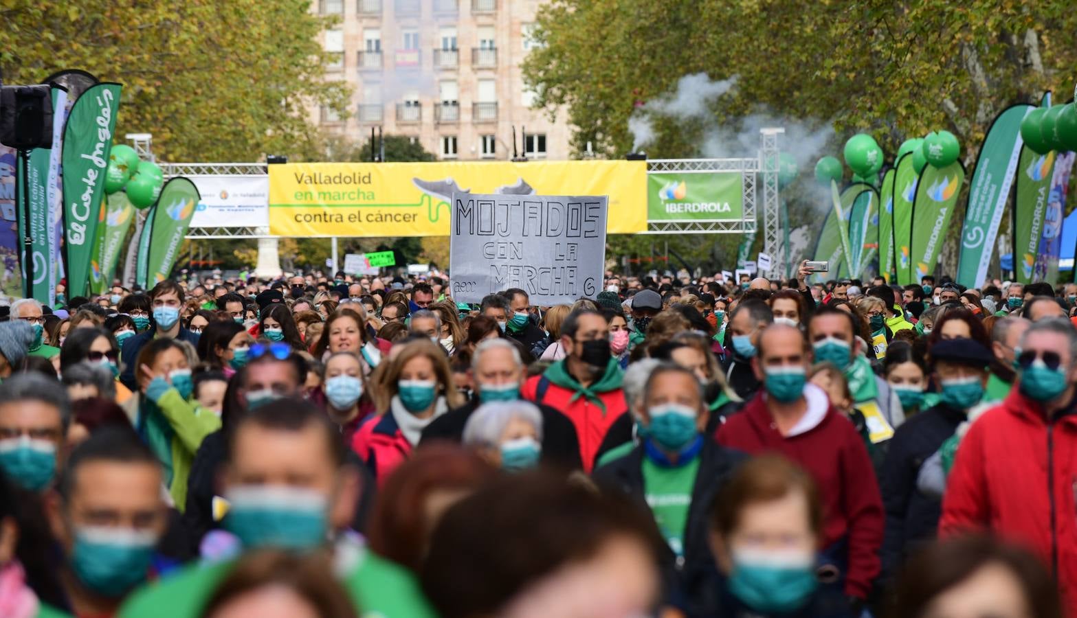 Fotos: Marcha contra el Cáncer en Valladolid (3)