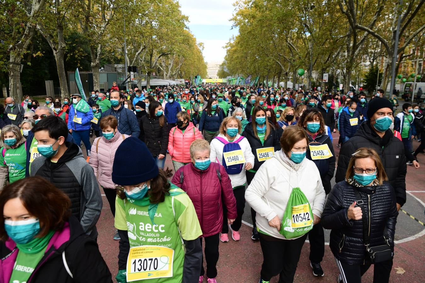 Fotos: Marcha contra el Cáncer en Valladolid (3)