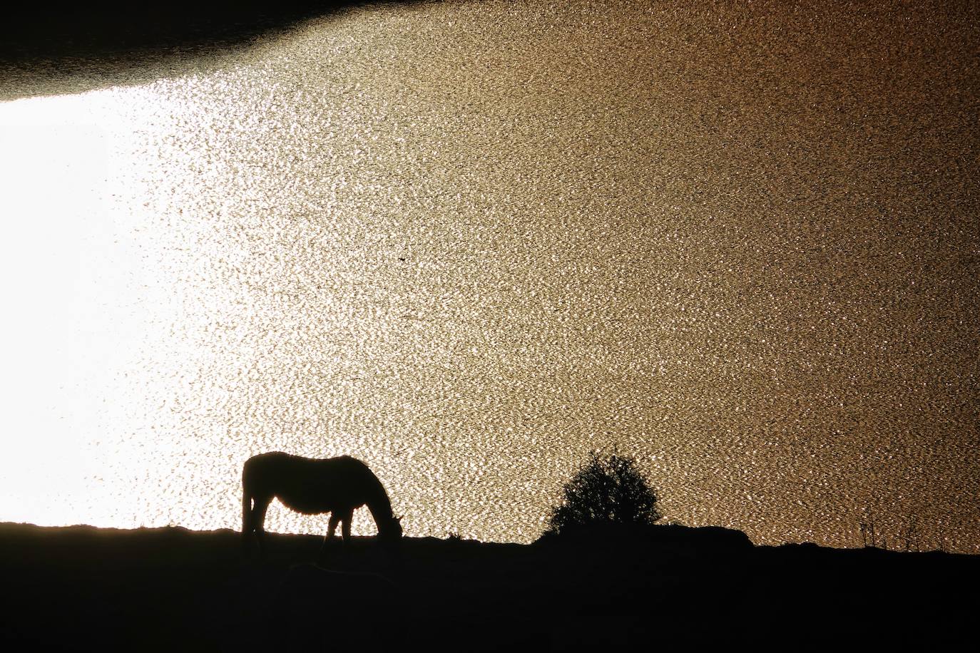 Con las primeras nieves, la zona de los Lagos de Covadonga ofrece un impresionante espectáculo este fin de semana. Así lo reflejan las imágenes captadas por el fotógrafo Xuan Cueto