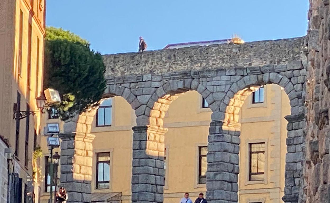 Imagen captada por uno de los asistentes en la que se aprecia al hombre subido al Acueducto.