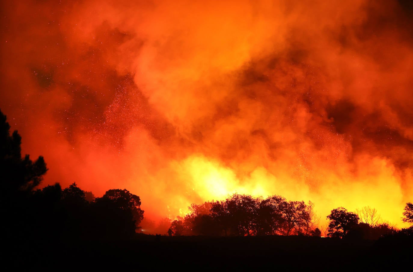 Un incendio sorprende por su virulencia en la Sierra de Francia. 