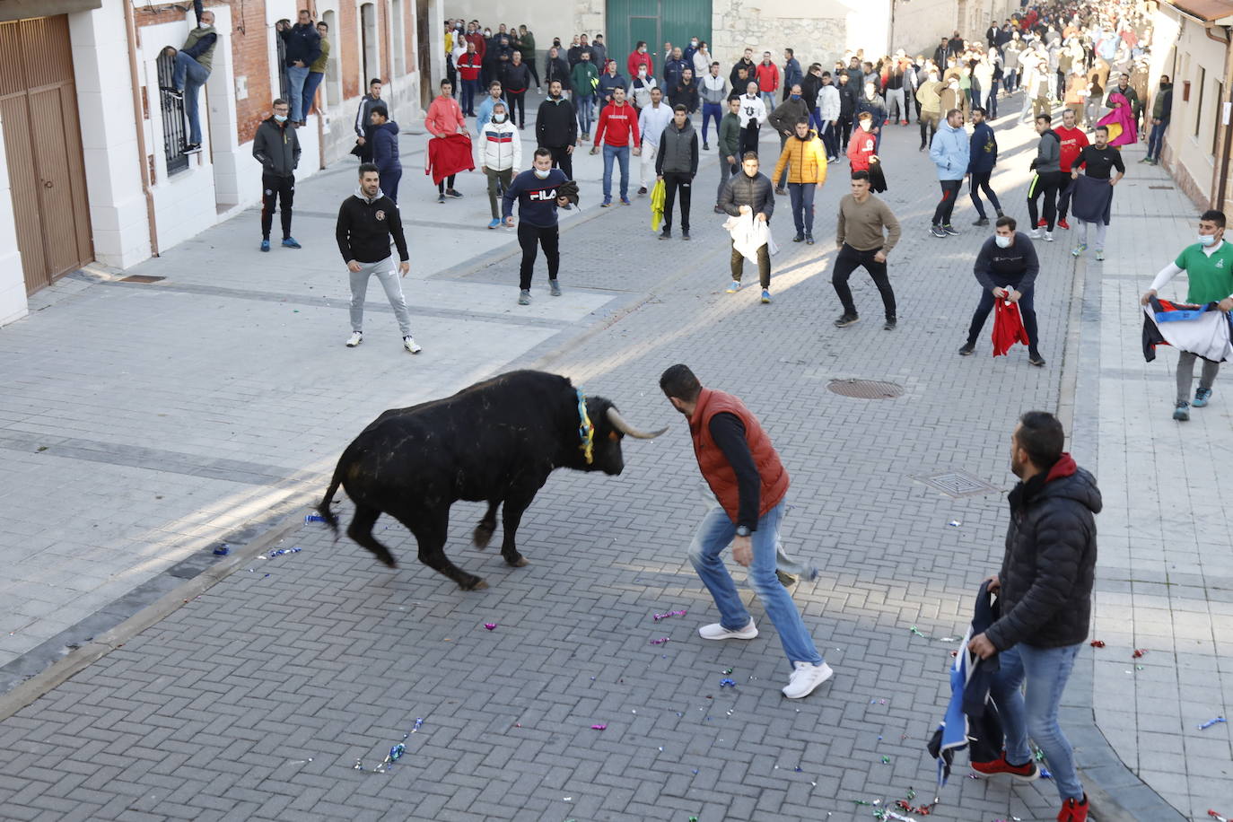 Fotos: Toro del cajón en Traspinedo