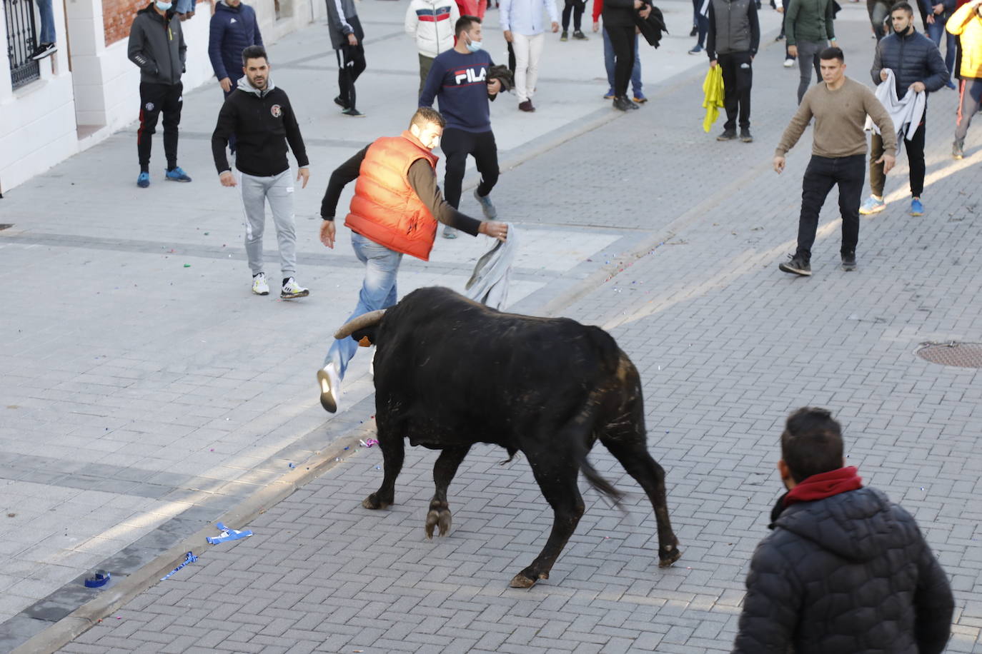 Fotos: Toro del cajón en Traspinedo