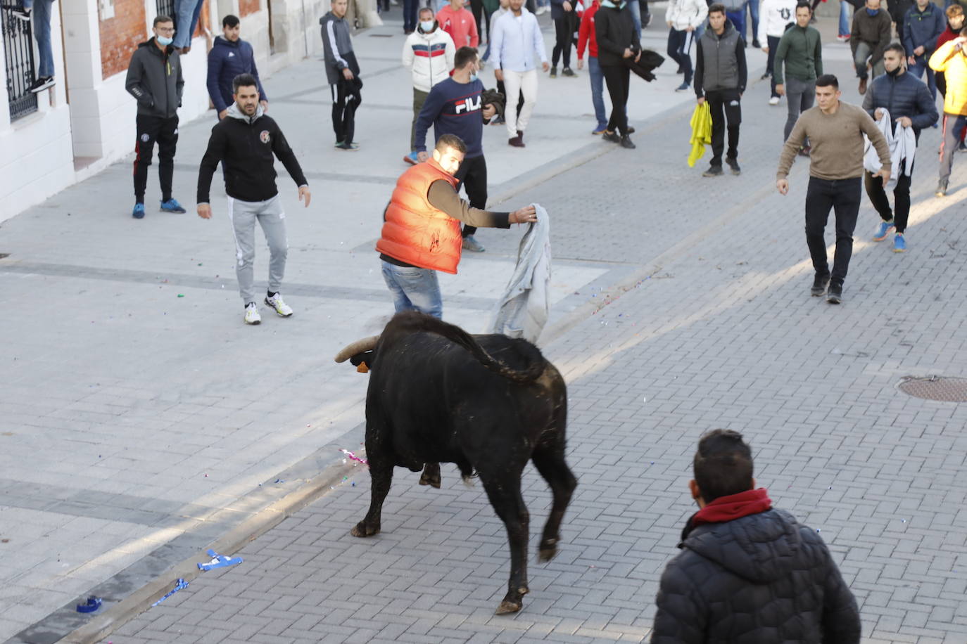 Fotos: Toro del cajón en Traspinedo