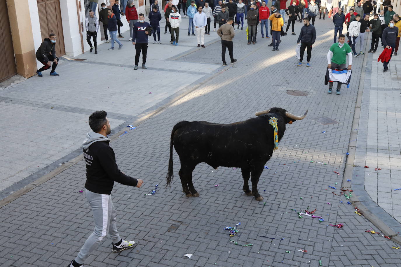 Fotos: Toro del cajón en Traspinedo