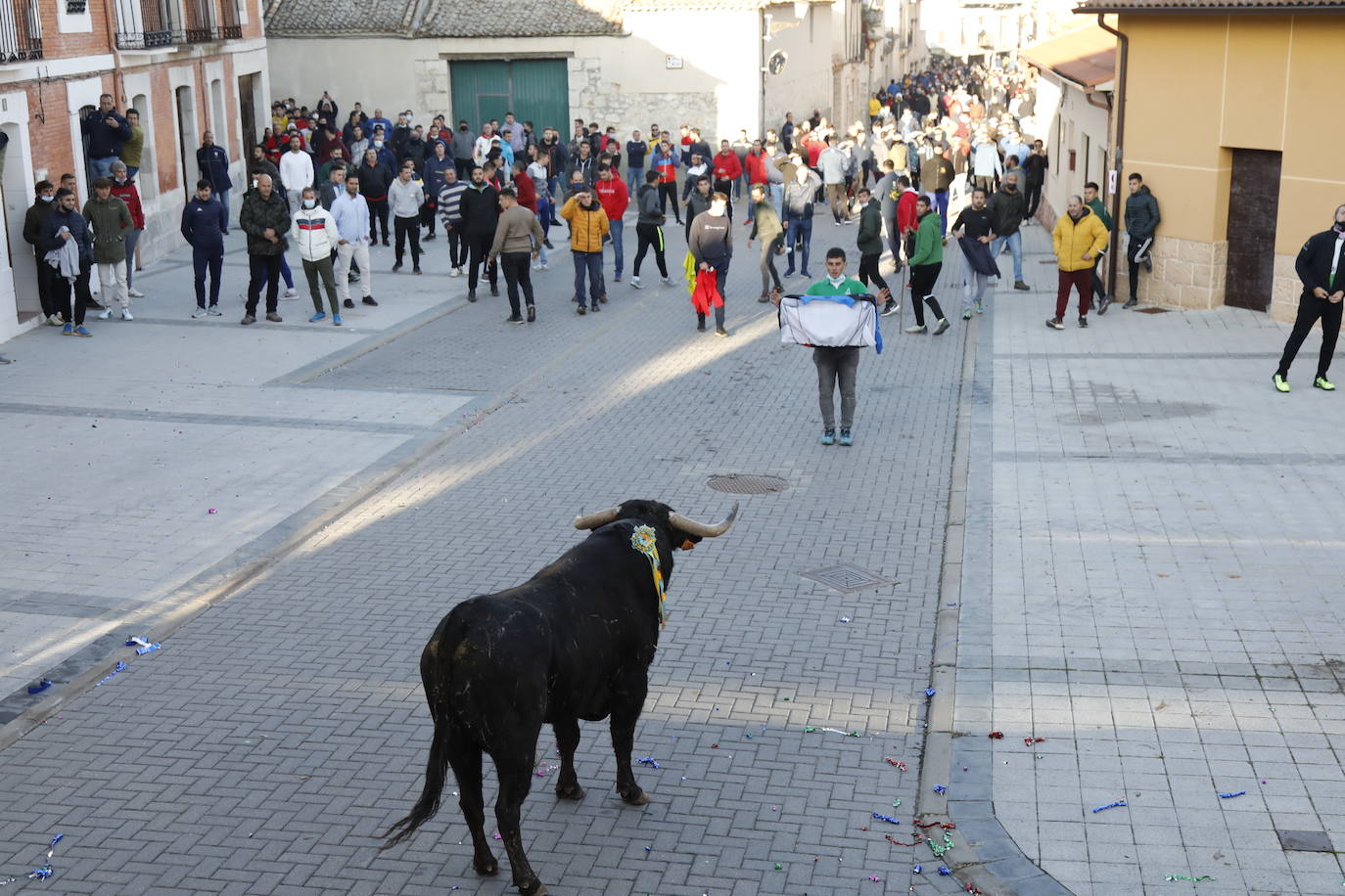 Fotos: Toro del cajón en Traspinedo