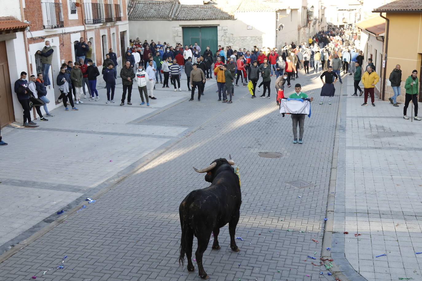 Fotos: Toro del cajón en Traspinedo