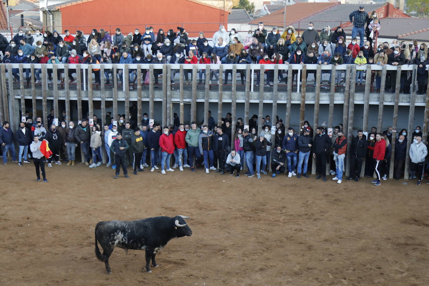 Fotos: Toro del cajón en Traspinedo