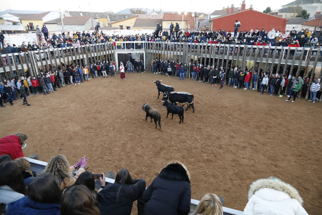 Fotos: Toro del cajón en Traspinedo
