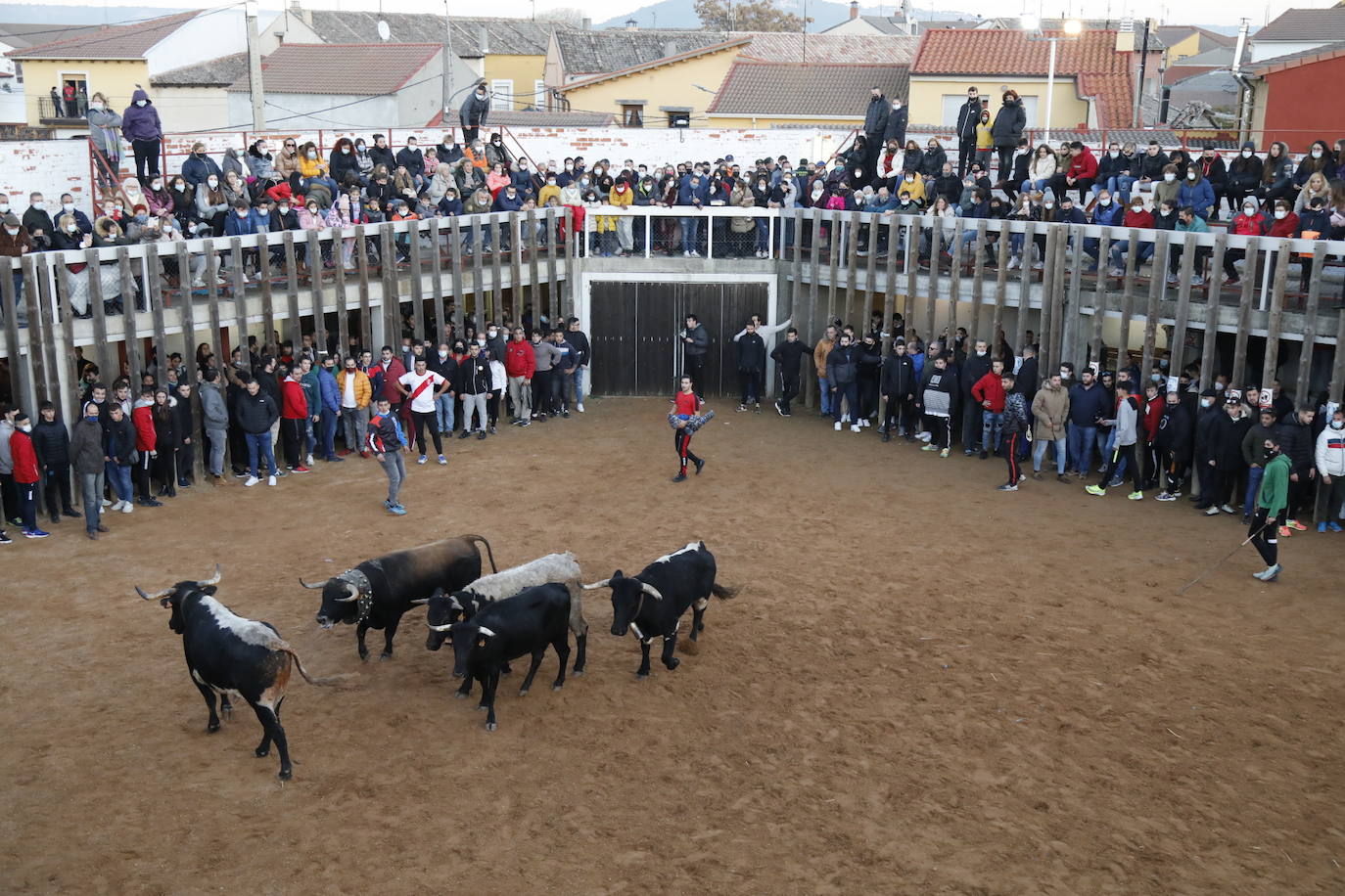 Fotos: Toro del cajón en Traspinedo