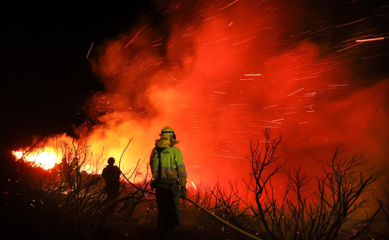 Durante toda la noche cuadrillas de bomberos del Maillo, Ciudad Rodrigo, Candelario y Tamames lucharon contra el fuego