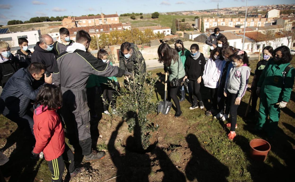 El alcalde participando en la repobalción forestal. 