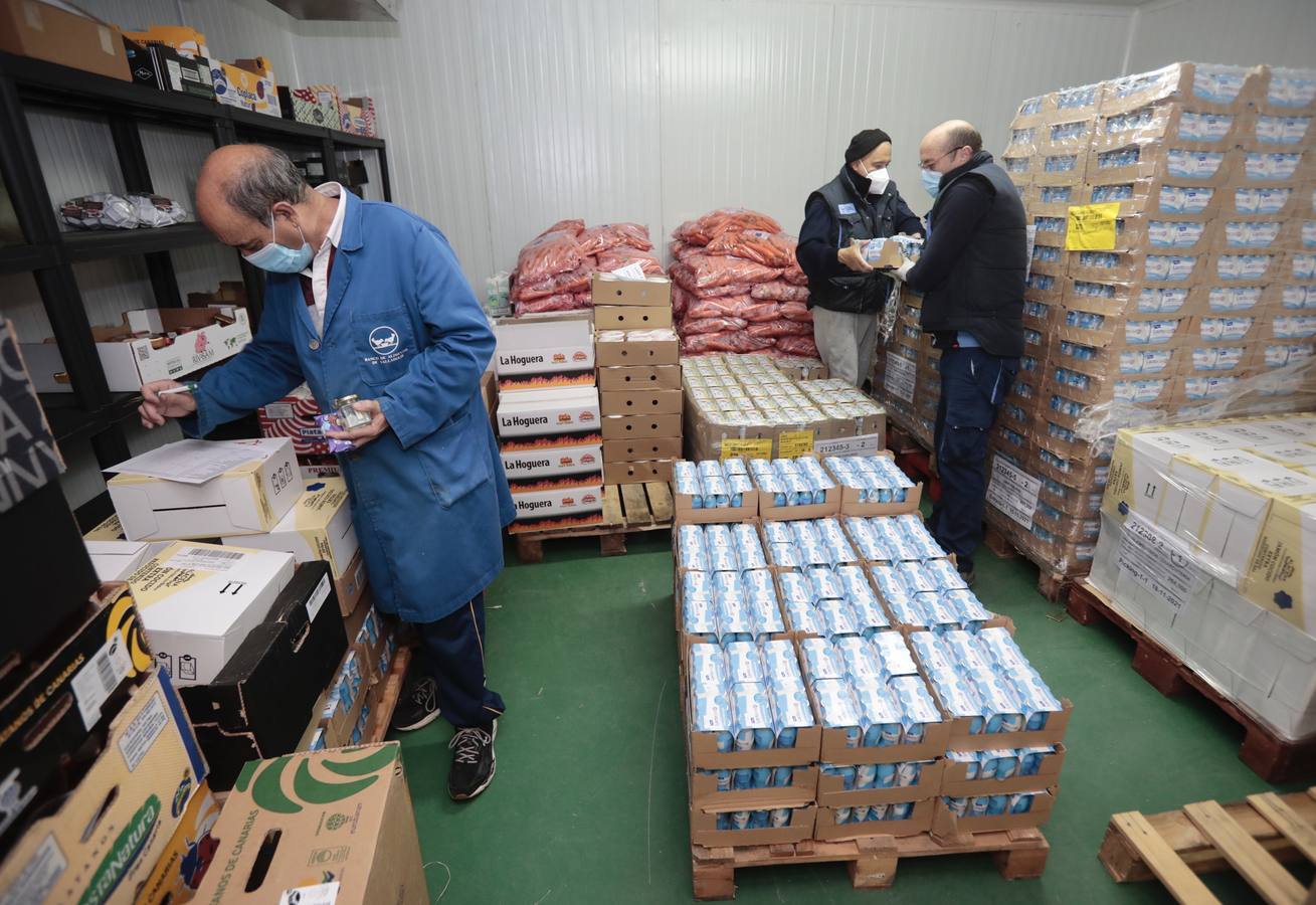 Fotos: El Banco de Alimentos de Valladolid se prepara para la &#039;gran recogida&#039;
