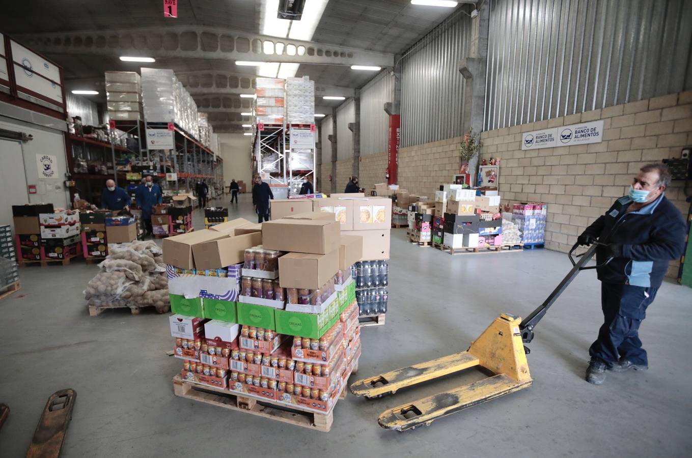 Fotos: El Banco de Alimentos de Valladolid se prepara para la &#039;gran recogida&#039;