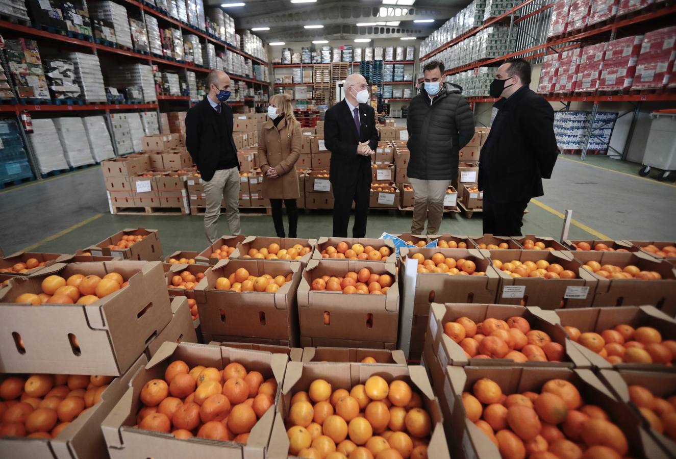 Fotos: El Banco de Alimentos de Valladolid se prepara para la &#039;gran recogida&#039;
