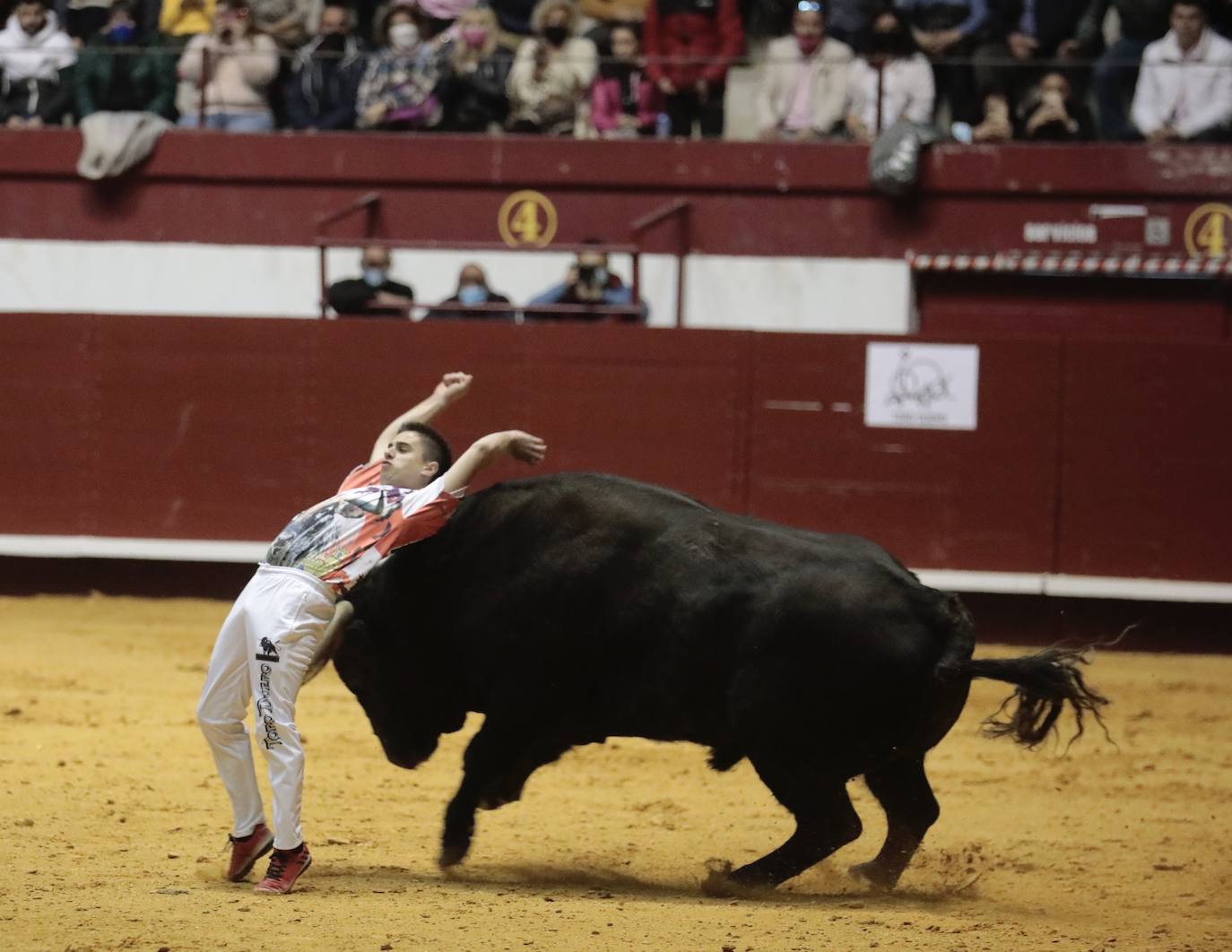 Concurso de cortes de La Flecha