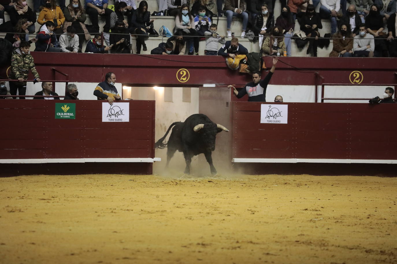 Concurso de cortes de La Flecha