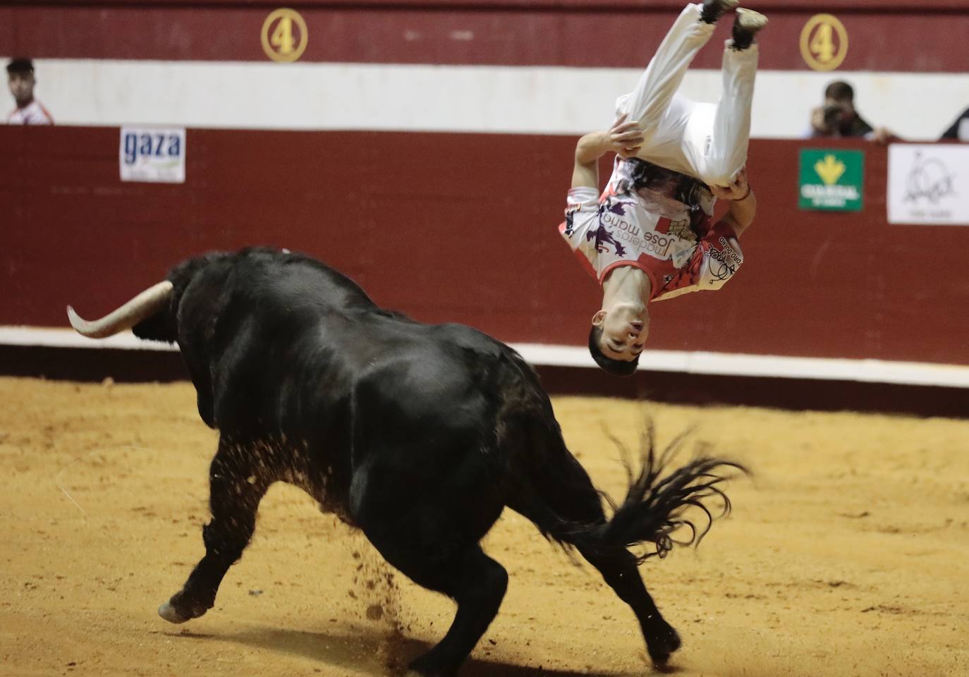 Concurso de cortes de La Flecha