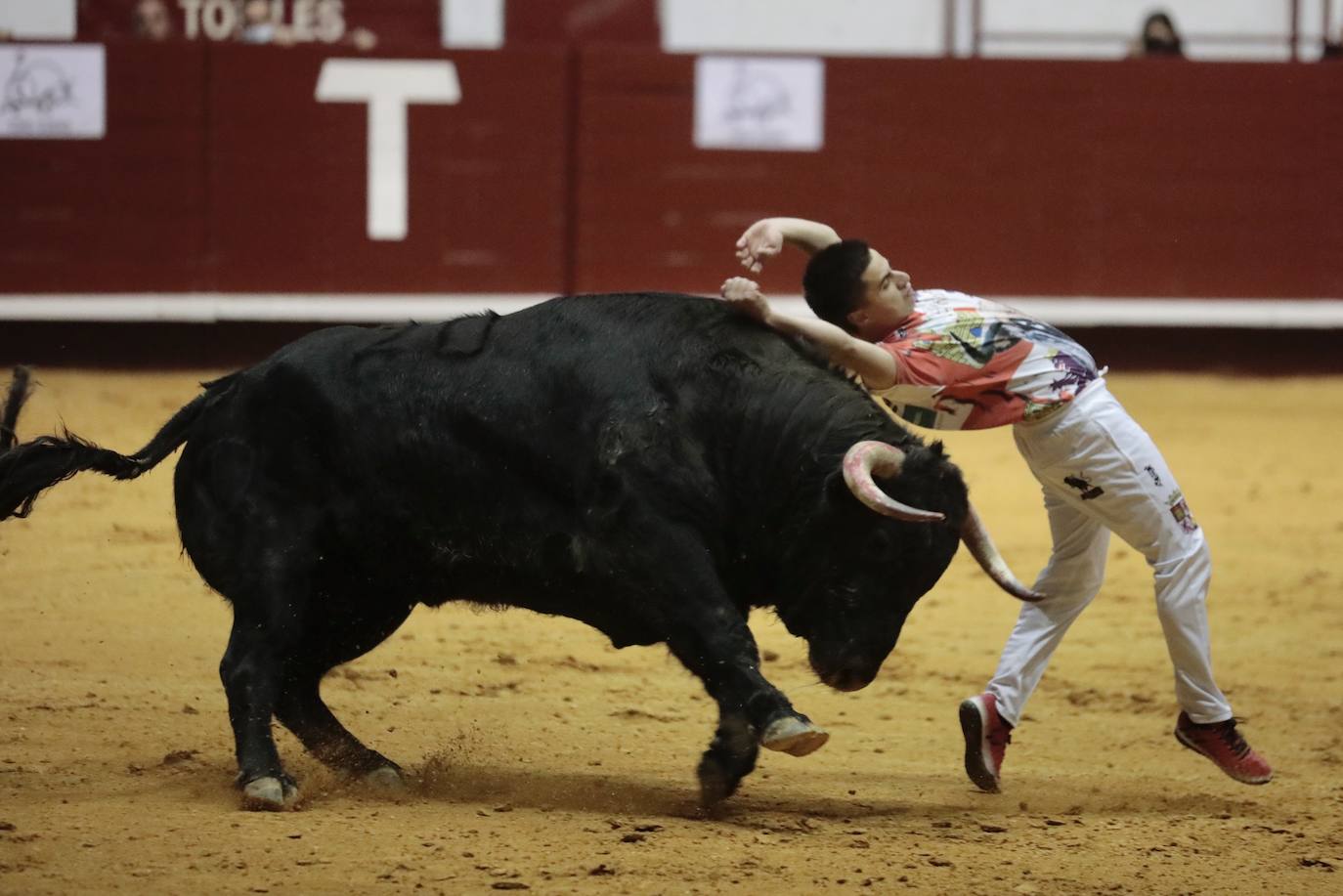 Fotos: Luis Gómez triunfa en el concurso de cortes de La Flecha (2/2)