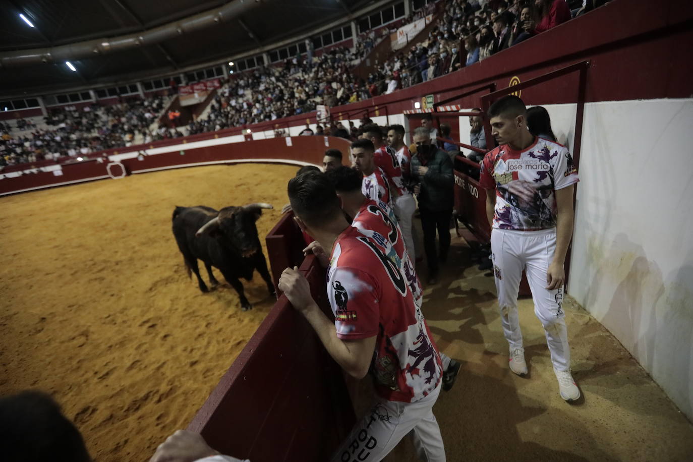 Fotos: Luis Gómez triunfa en el concurso de cortes de La Flecha (2/2)