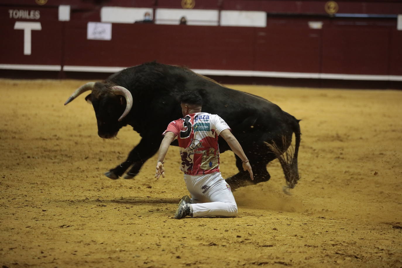 Fotos: Luis Gómez triunfa en el concurso de cortes de La Flecha (2/2)