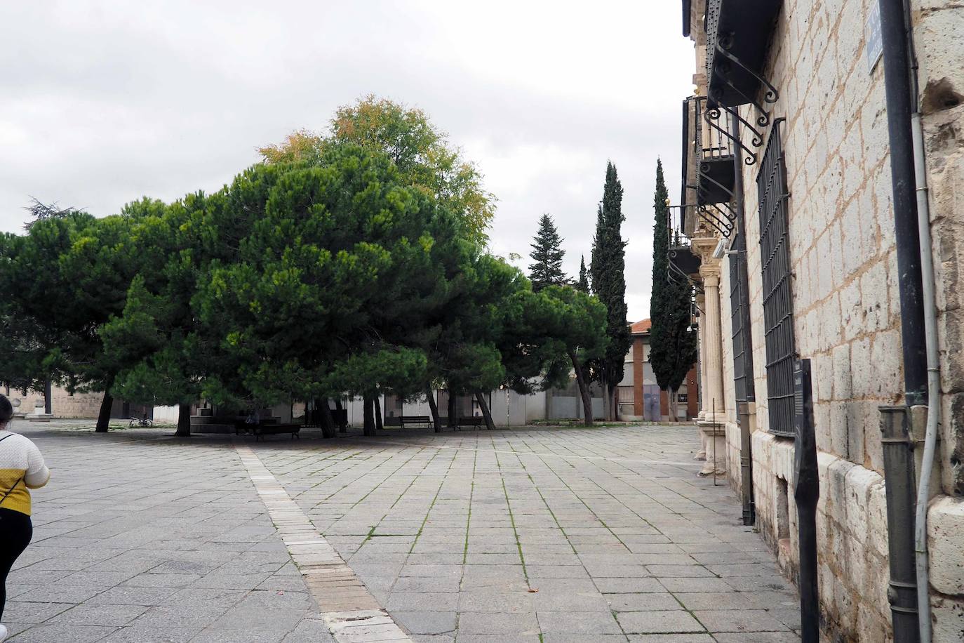 Detalles de la zona de San Pablo, junto al Palacio Pimentel, el colegio de San Gregorio y el Museo de Escultura