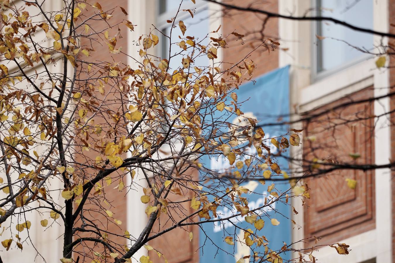 Fotos: El frío de otoño se instala en Valladolid