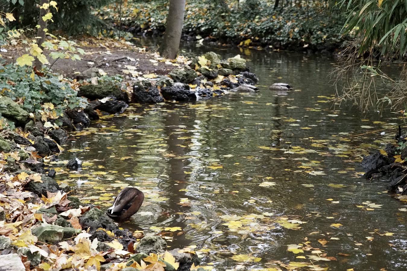 Fotos: El frío de otoño se instala en Valladolid