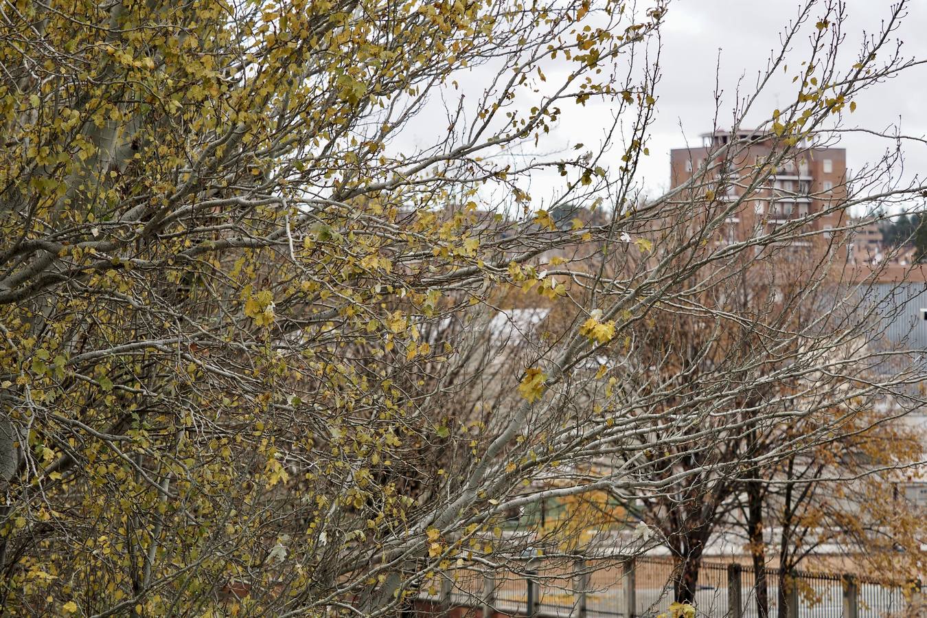 Fotos: El frío de otoño se instala en Valladolid