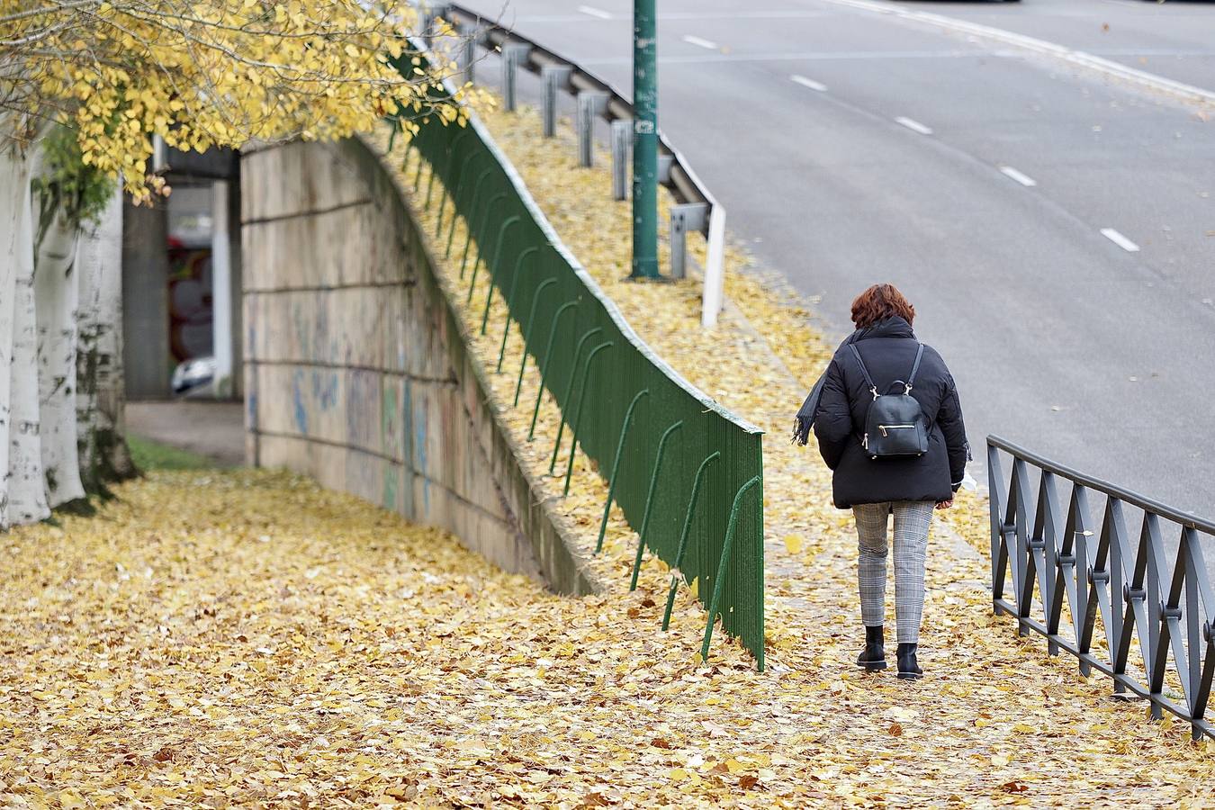 Fotos: El frío de otoño se instala en Valladolid