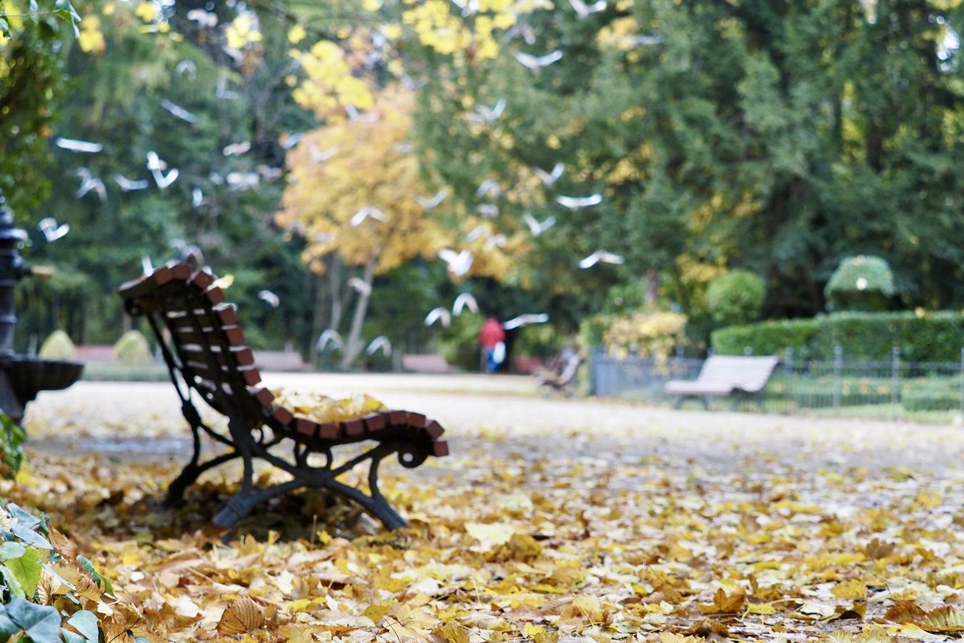 Fotos: El frío de otoño se instala en Valladolid