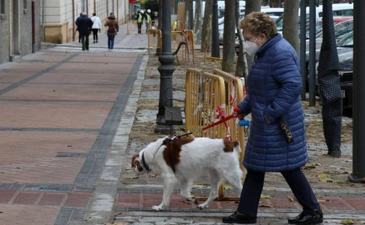 El fallo del diferencial ocasionó la descarga que mató a un perro en una  farola de Segovia | El Norte de Castilla