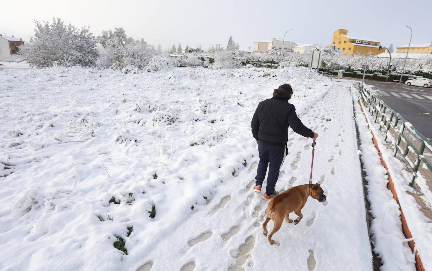 Nieve en Guijuelo (Salamanca)