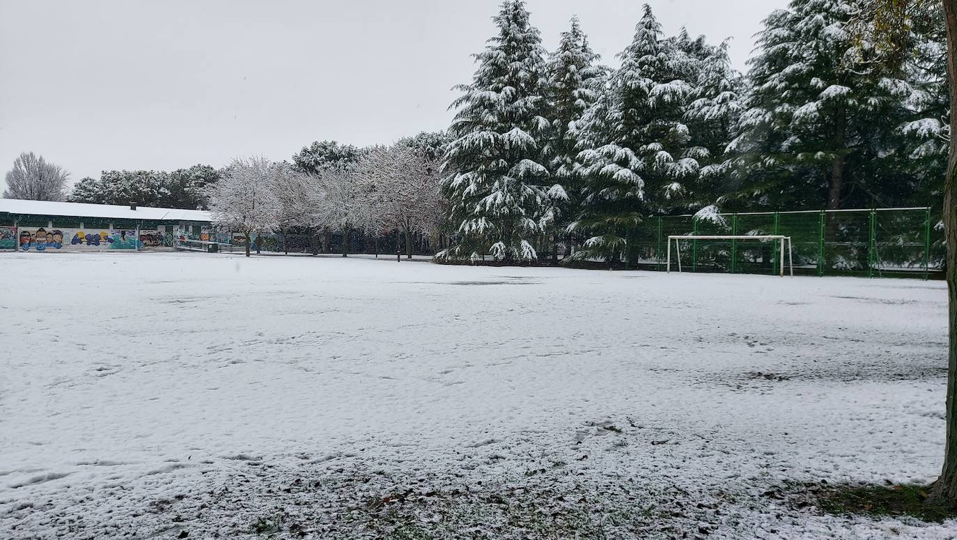 Fotos: La nieve deja bonitas estampas en la ciudad de Palencia