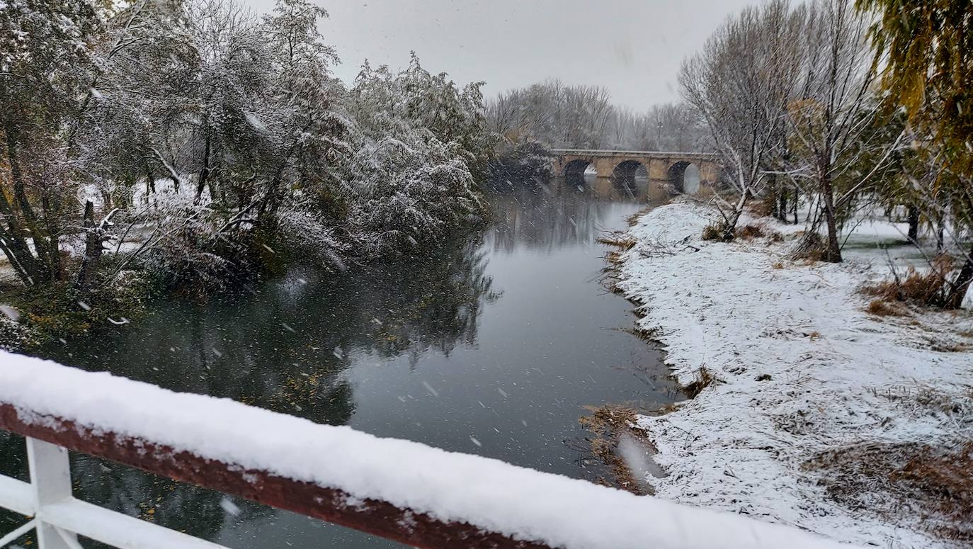 Fotos: La nieve deja bonitas estampas en la ciudad de Palencia