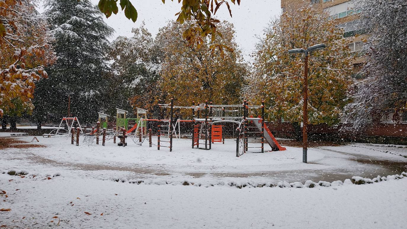Fotos: La nieve deja bonitas estampas en la ciudad de Palencia