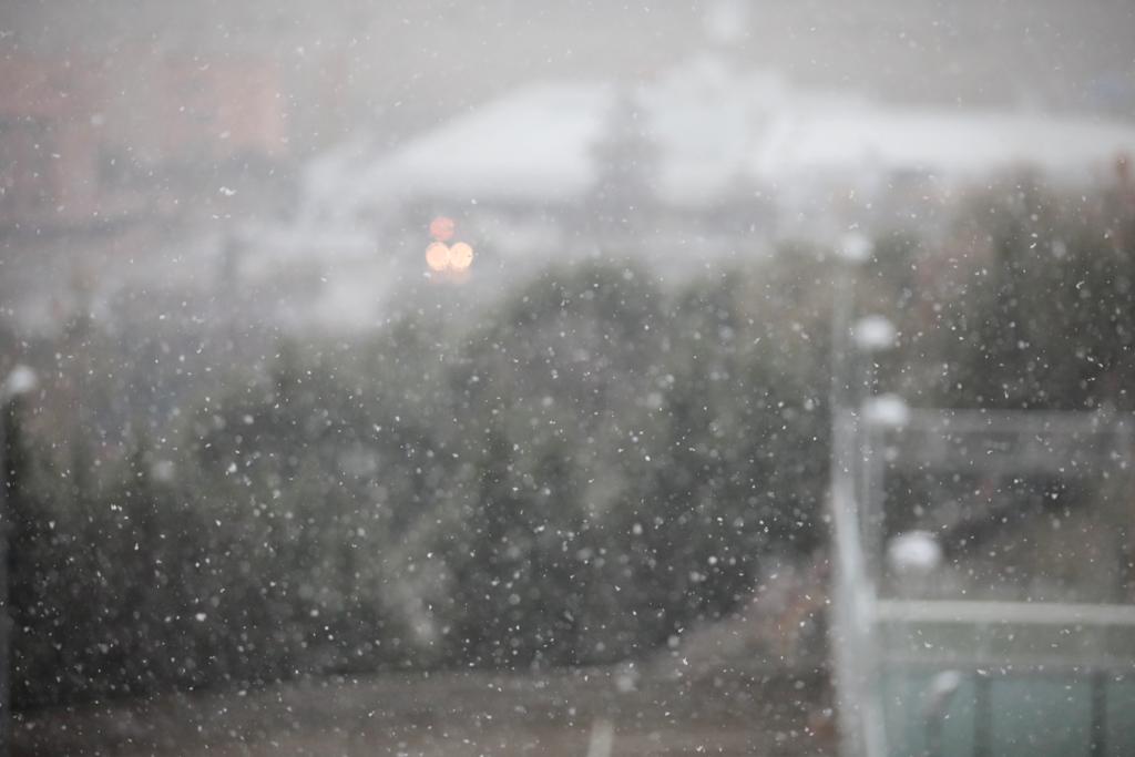 Fotos: Llega a Valladolid la primera nevada desde &#039;Filomena&#039;